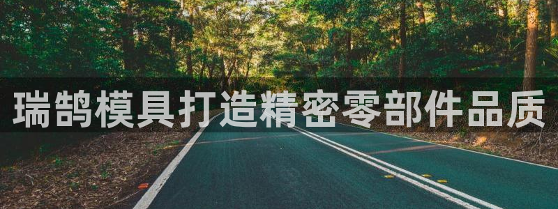 太阳成集团tyc33455cc平台：瑞鹄模具打造精密零部件品质