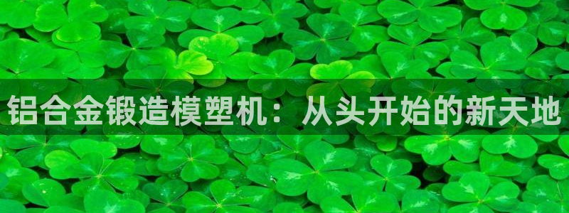 太阳影视公司：铝合金锻造模塑机：从头开始的新天地
