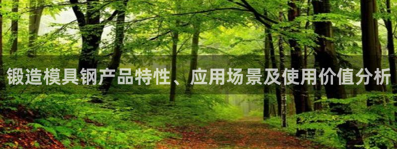 太阳集团不能提现怎么办：锻造模具钢产品特性、应用场景及使用价值分析