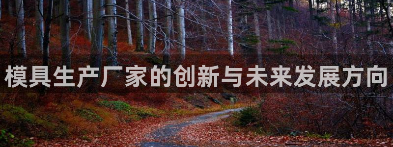 太阳集团电子游戏有限公司：模具生产厂家的创新与未来发展方向