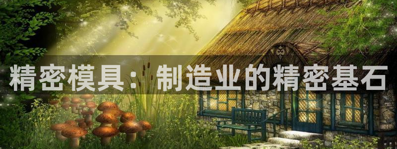 太阳集团tcy8099：精密模具：制造业的精密基石