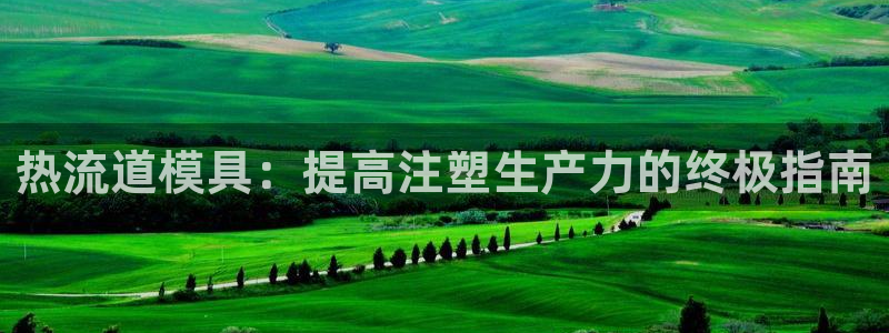 太阳集团所有网址16877：热流道模具：提高注塑生产力的终极指南
