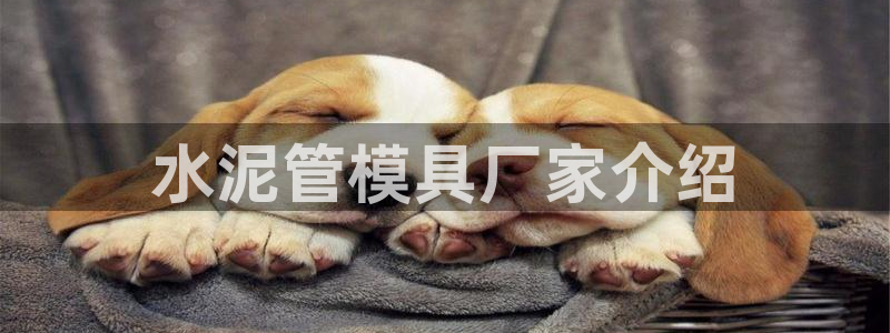 曲靖红太阳集团：水泥管模具厂家介绍