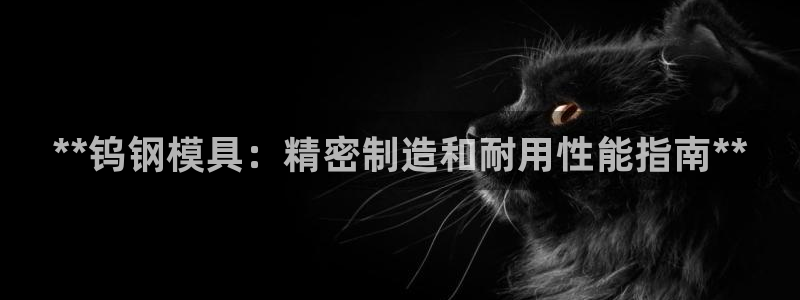 太阳集团城：**钨钢模具：精密制造和耐用性能指南**