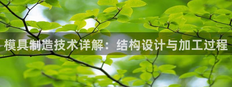 太阳集团董事长是谁?：模具制造技术详解：结构设计与加工过程