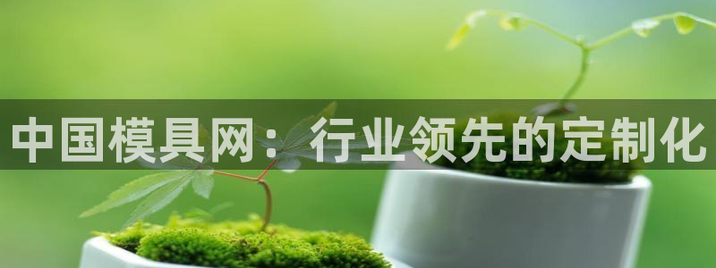 15vip太阳集团官网：中国模具网：行业领先的定制化