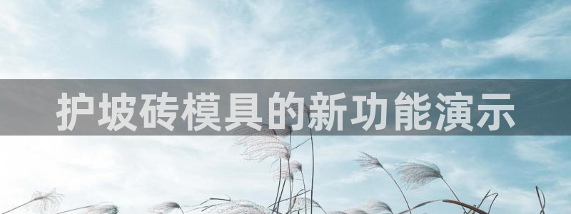 太阳集团备用网址：护坡砖模具的新功能演示