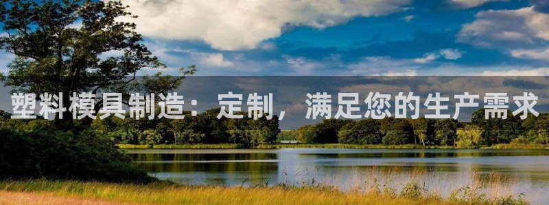 太阳诚集团网站：塑料模具制造：定制，满足您的生产需求