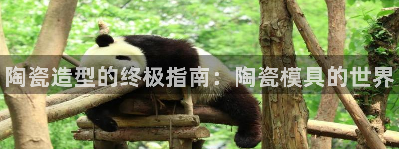 太阳集团股份有限公司：陶瓷造型的终极指南：陶瓷模具的世界