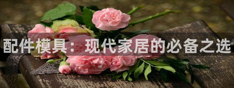 太阳集团电子游戏(中国)有限公司：配件模具：现代家居的必备之选