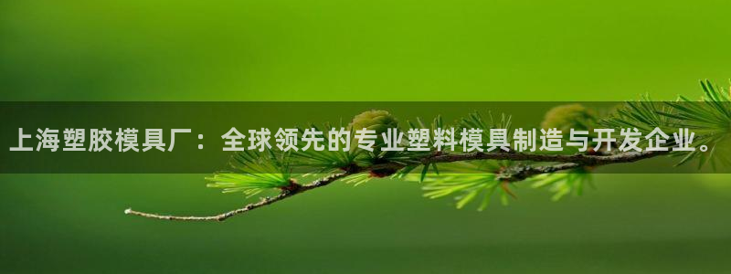 太阳诚集团有限公司地址：上海塑胶模具厂：全球领先的专业塑料模具制造与开发企业。