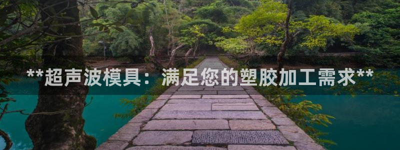 澳门太阳集团洗米华：**超声波模具：满足您的塑胶加工需求**
