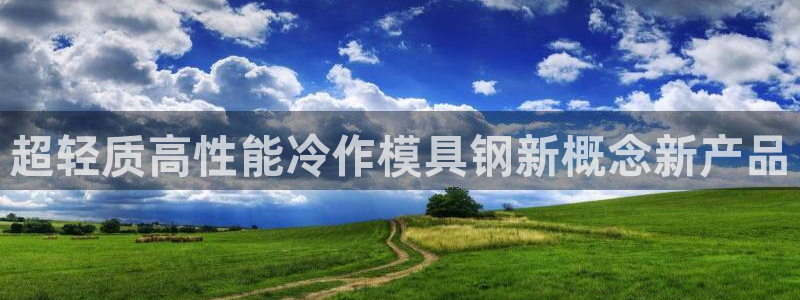 太阳集团2021备用网址：超轻质高性能冷作模具钢新概念新产品