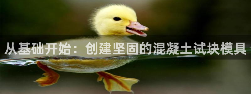 太阳2注册官网下载：从基础开始：创建坚固的混凝土试块模具