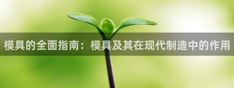太阳集团1088vip：模具的全面指南：模具及其在现代制造中的作用