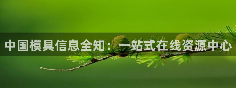 太阳集团股份有限公司官网：中国模具信息全知：一站式在线资源中心