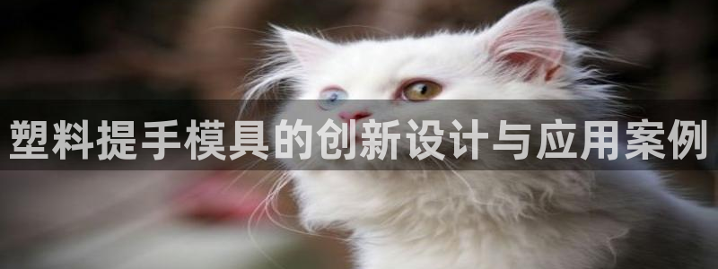 太阳集团tcy8099：塑料提手模具的创新设计与应用案例