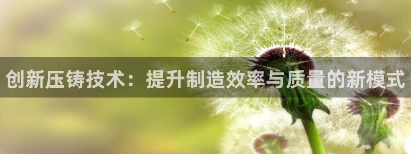 太阳集团app十佳平台有哪些：创新压铸技术：提升制造效率与质量的新模式