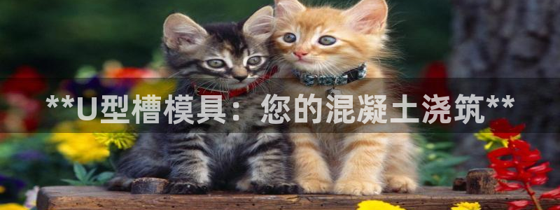 太阳集团城官网：**U型槽模具：您的混凝土浇筑**
