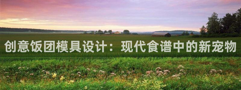 44118太阳成城集团：创意饭团模具设计：现代食谱中的新宠物