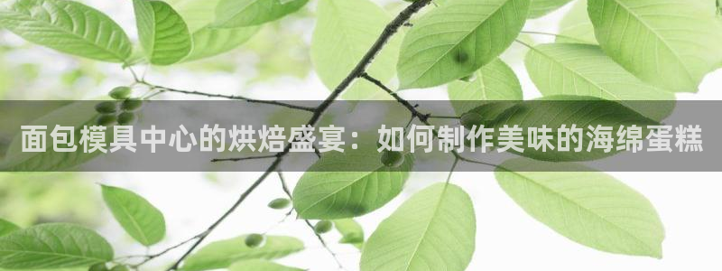 太阳成集团网址：面包模具中心的烘焙盛宴：如何制作美味的海绵蛋糕