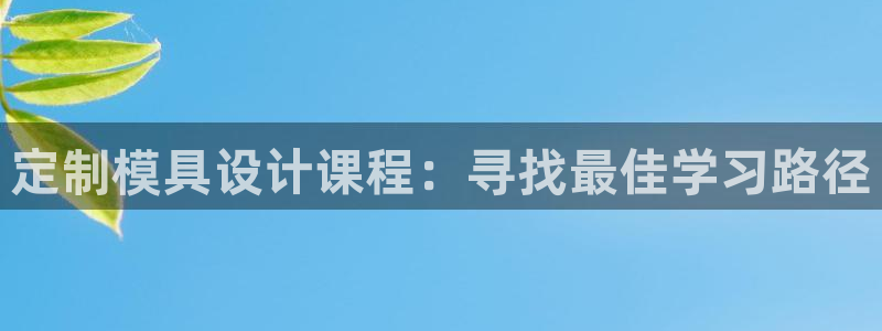 太阳成集团的官方网站：定制模具设计课程：寻找最佳学习路径