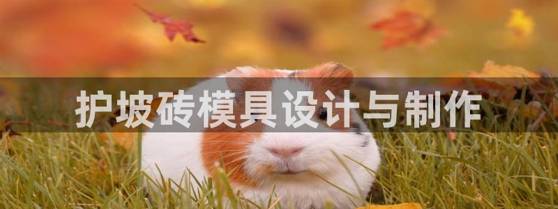 太阳诚集团有限公司：护坡砖模具设计与制作
