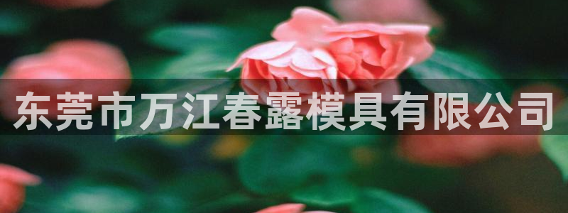 太阳集团城网址娱网：东莞市万江春露模具有限公司