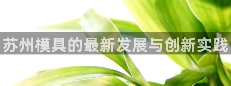 太阳诚集团是干什么的：苏州模具的最新发展与创新实践