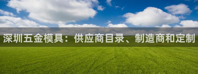 古天乐太阳集团网址：深圳五金模具：供应商目录、制造商和定制