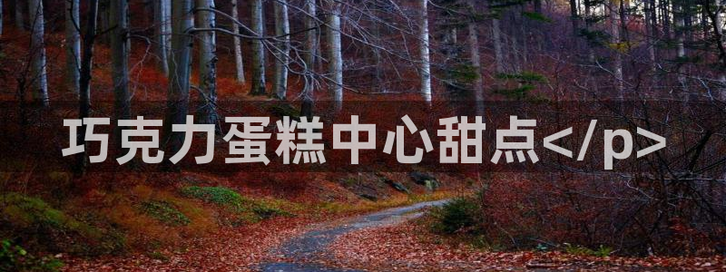 太阳gg注册登录：巧克力蛋糕中心甜点</p>