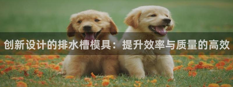 太阳集团城网官方入口：创新设计的排水槽模具：提升效率与质量的高效