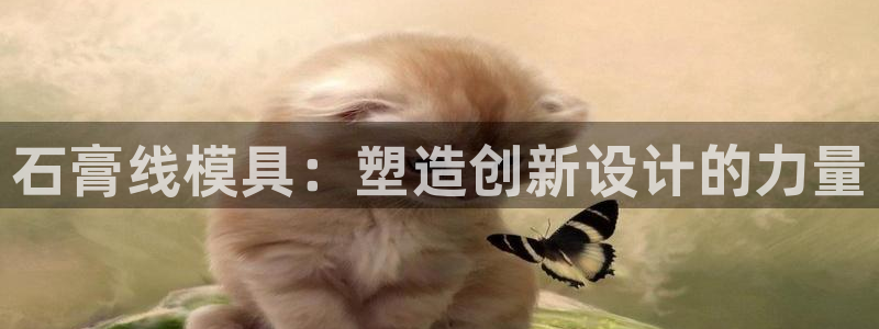 太阳集团2018登录网址：石膏线模具：塑造创新设计的力量