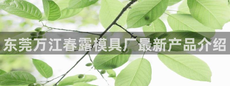 太阳成集团网址 app：东莞万江春露模具厂最新产品介绍