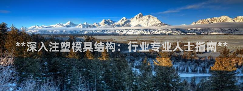 太阳成集团网址 app：**深入注塑模具结构：行业专业人士指南**