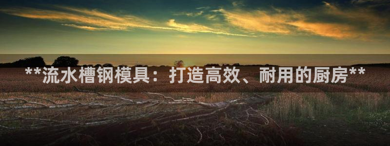 太阳集团地址：**流水槽钢模具：打造高效、耐用的厨房**