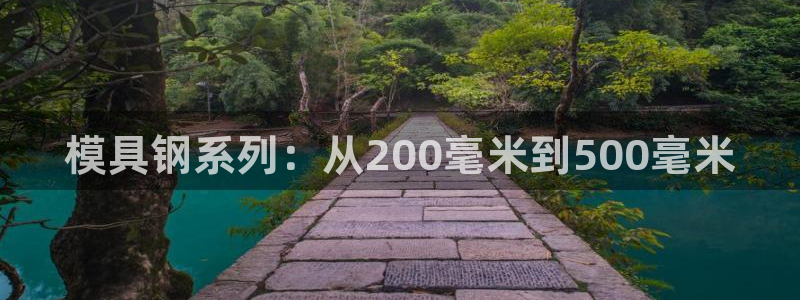 太阳集团城网站2007：模具钢系列：从200毫米到500毫米
