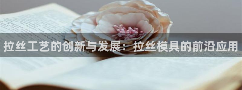 太阳集团是一家什么公司：拉丝工艺的创新与发展：拉丝模具的前沿应用
