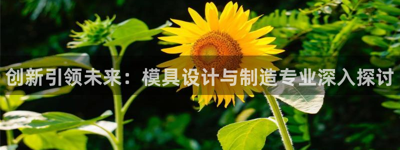太阳集团所有网址16877