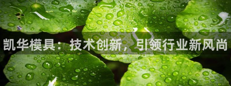 太阳集团网站入口官网：凯华模具：技术创新，引领行业新风尚