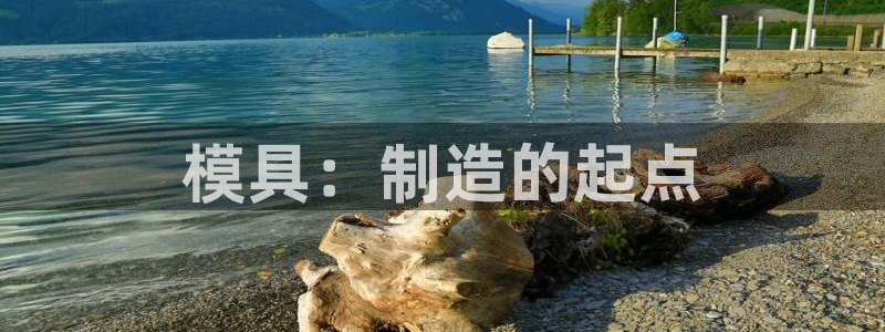 太阳地产老板：模具：制造的起点