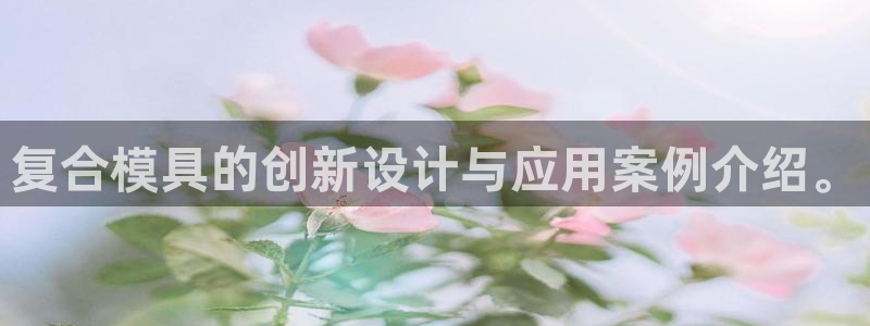 太阳集团股份有限公司：复合模具的创新设计与应用案例介绍。