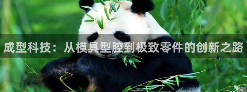 太阳集团手机app下载：成型科技：从模具型腔到极致零件的创新