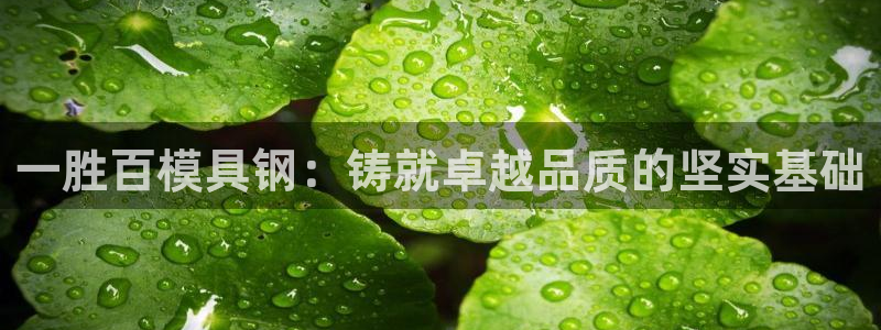 2138cn太阳集团古天乐·网上娱乐：一胜百模具钢：铸就卓越品质的坚实基础