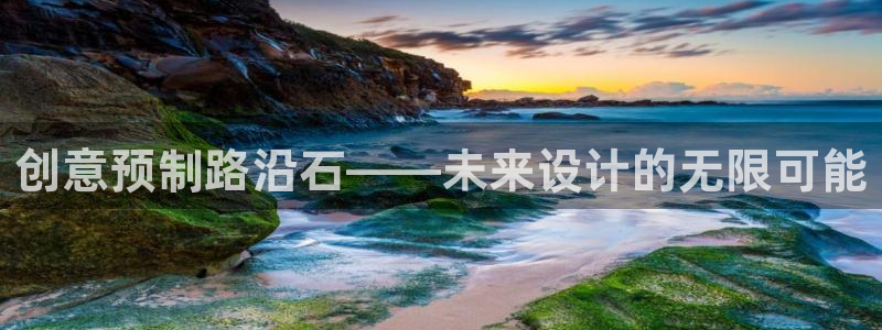 太阳集团主要是做什么的