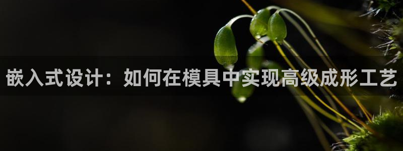 太阳集团2007：嵌入式设计：如何在模具中实现高级成形工艺