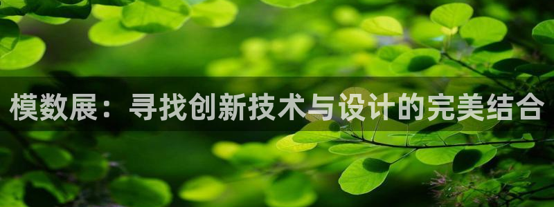 太阳集团tcy8722查封了：模数展：寻找创新技术与设计的完美结合