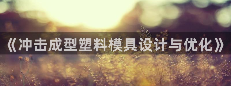 太阳gg官网登录：《冲击成型塑料模具设计与优化》