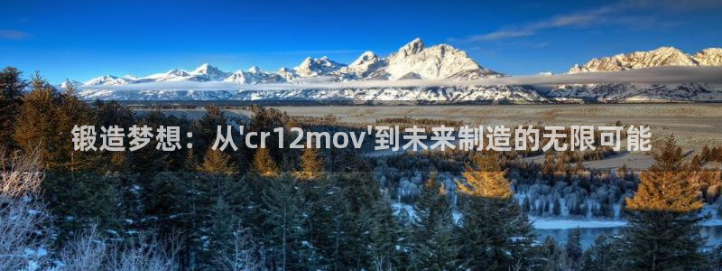 澳门太阳集团老板洗米华：锻造梦想：从\'cr12mov\'到未来制造的无限可能