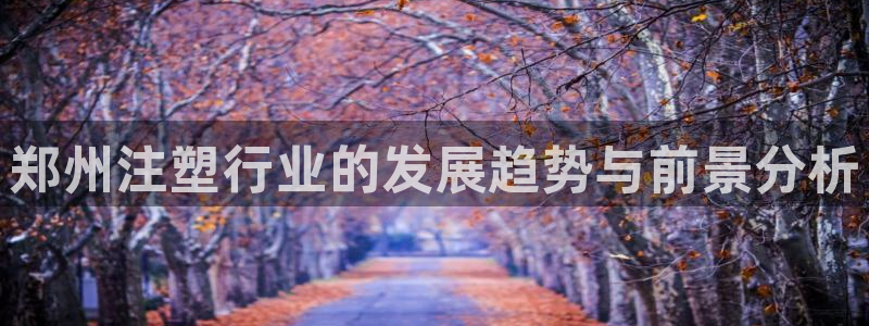 太阳集团app十佳平台有哪些：郑州注塑行业的发展趋势与前景分